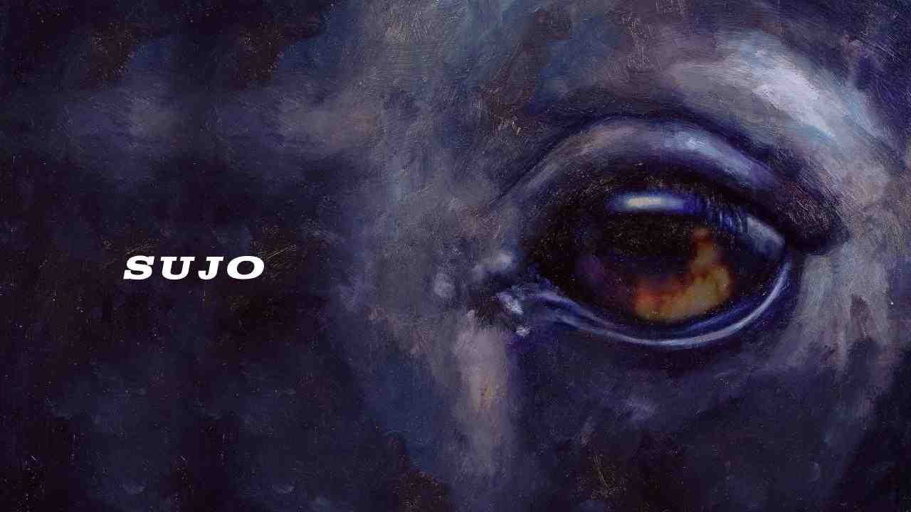 فيلم Sujo 2024 مترجم