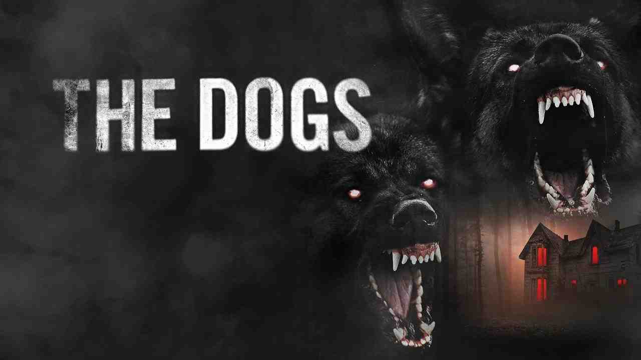 فيلم The Dogs 2025 مترجم