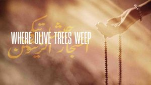 فيلم Where Olive Trees Weep 2024 مترجم