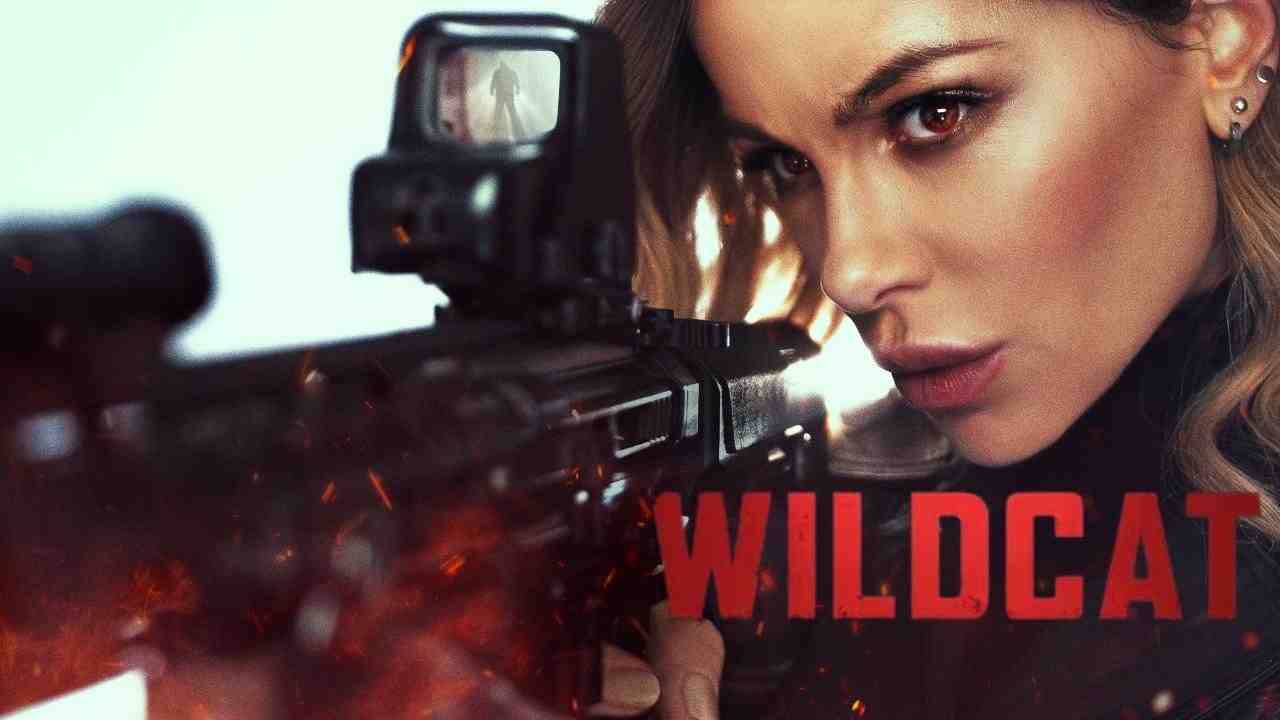 فيلم Wildcat 2025 مترجم