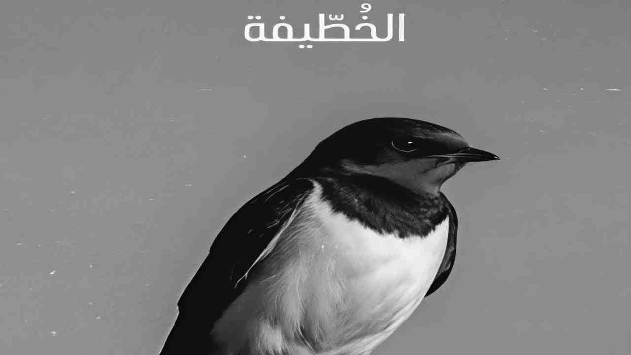 مسلسل الخطيفة الحلقة 5 الخامسة