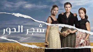 مسلسل شجر الحور